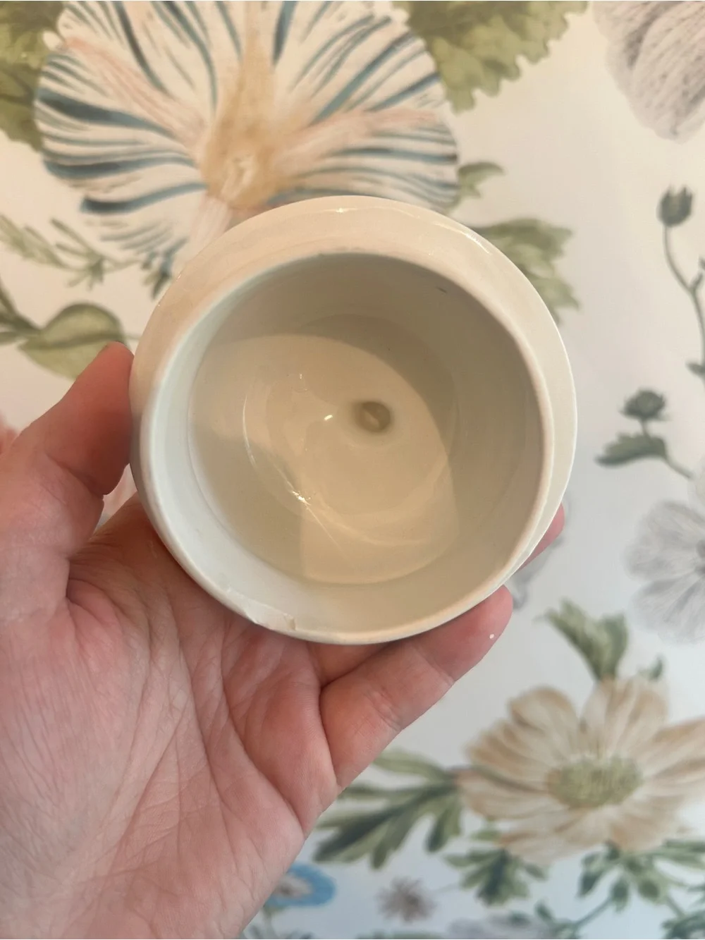 Wedgwood Peter Rabbit Teapot, Beatrix Potter Decor